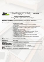 nauczyciel w przedszkolu.pdf.jpg