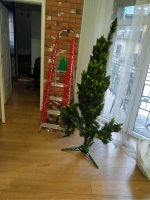 choinka.jpg
