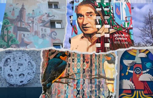 660178113_1263615815907410_6999742005345445657_n